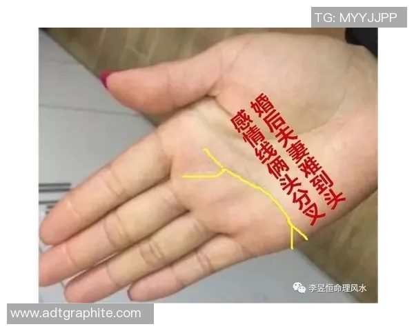 篮球明星手相揭秘：如何通过手相分析他们的成功与个性特征